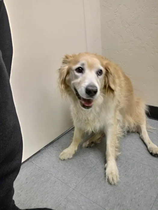 Hemet Animal Hospital 7