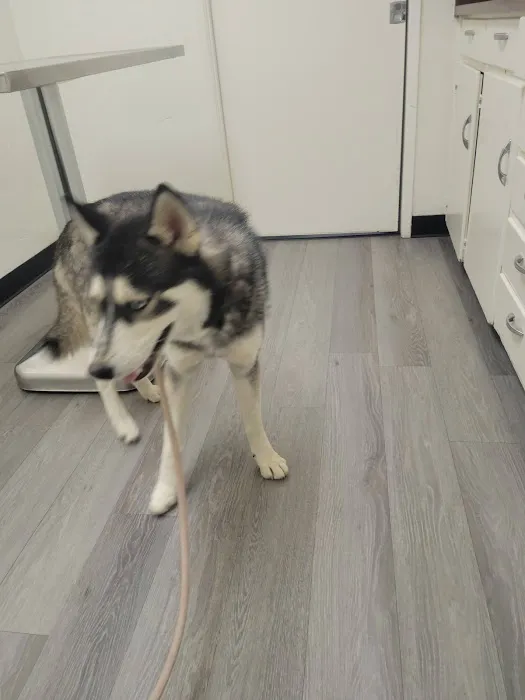 Hemet Animal Hospital 6