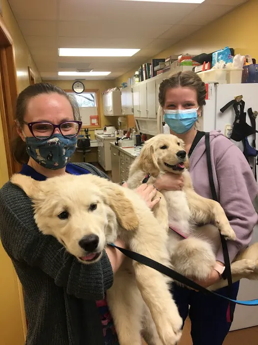 Manchester Veterinary Clinic 4