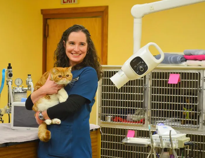 Feeding Hills Veterinary Clinic 5