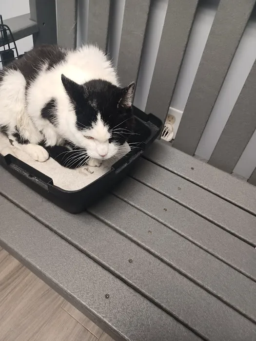 Feeding Hills Veterinary Clinic 4