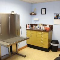 Westfield Animal Clinic ico