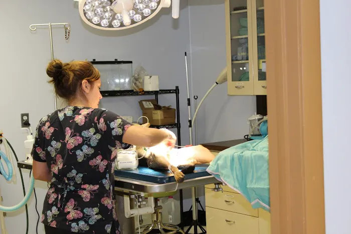 Westfield Animal Clinic 4