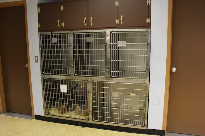 Westfield Animal Clinic 2