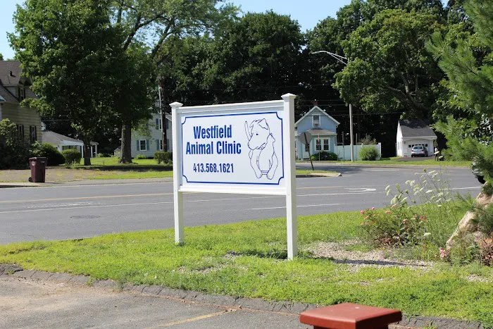 Westfield Animal Clinic 8