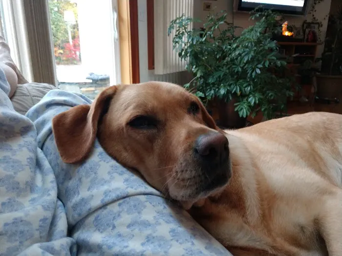 VCA Montgomery Road Animal Hospital 5