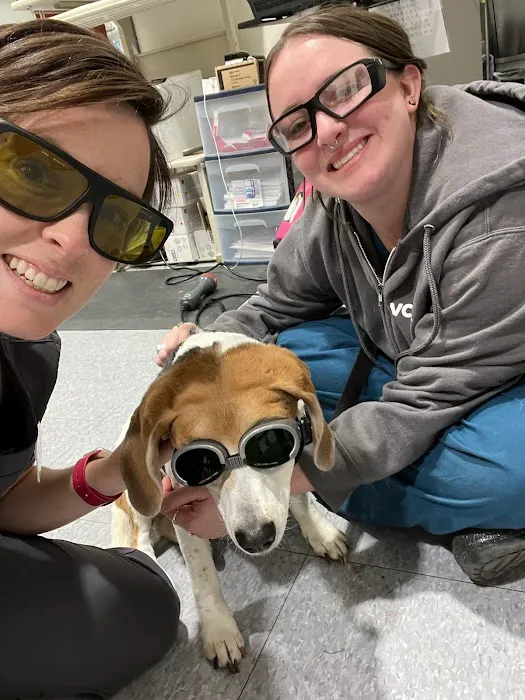 VCA Montgomery Road Animal Hospital 9