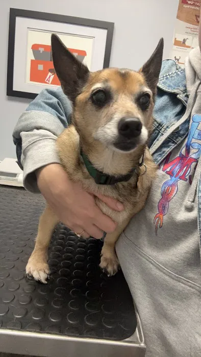 Agawam Animal Hospital 1