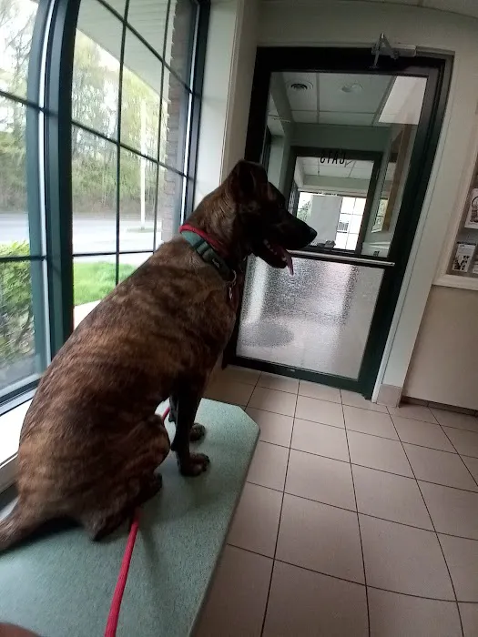 West Springfield Veterinary Clinic 5