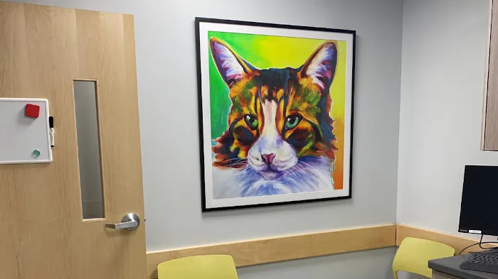 South Windsor Veterinary Clinic 3