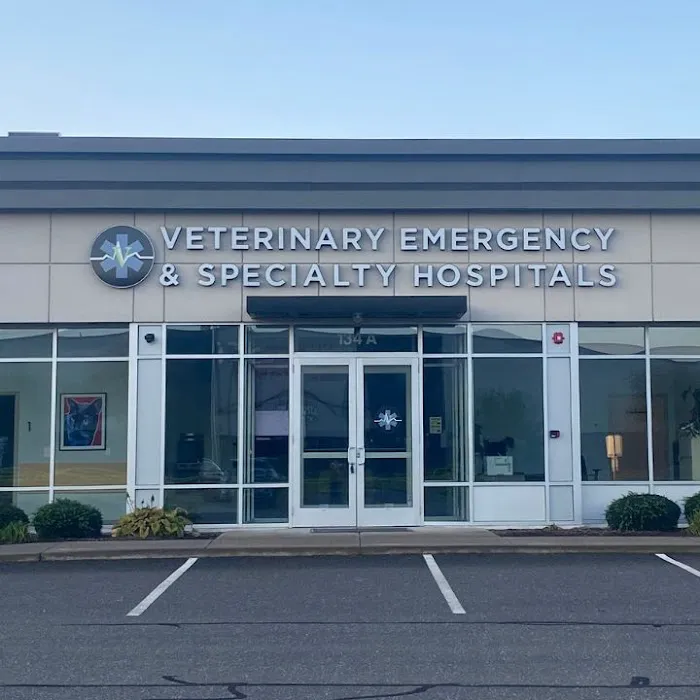 South Windsor Veterinary Clinic 5