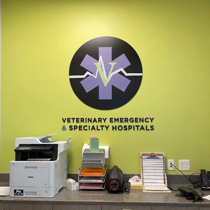 South Windsor Veterinary Clinic 7