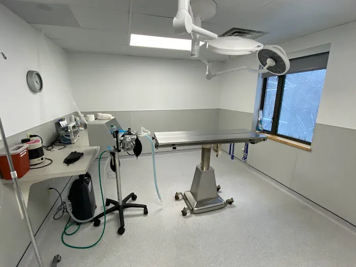 Aqueduct Animal Hospital 2