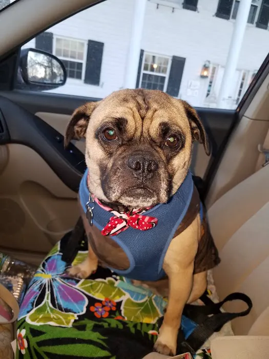 Aqueduct Animal Hospital 1