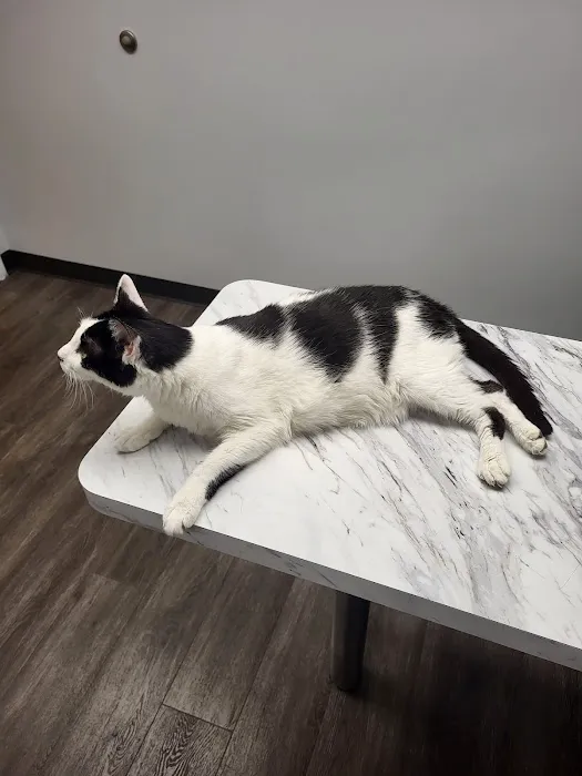 Aqueduct Animal Hospital 5