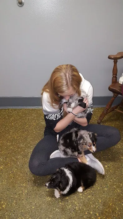 Aqueduct Animal Hospital 7