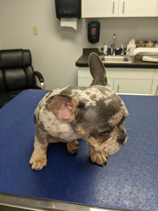 Aqueduct Animal Hospital 9