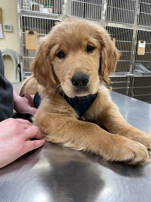 Glenville Veterinary Clinic 3