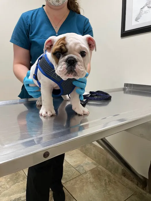 Glenville Veterinary Clinic 4