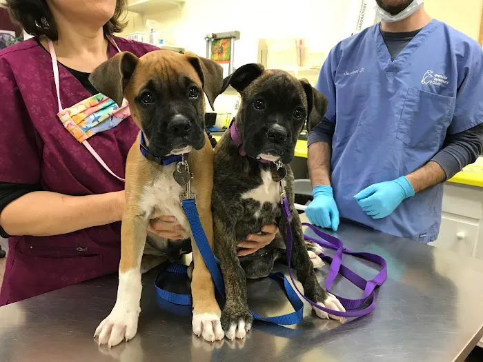 Glenville Veterinary Clinic 9