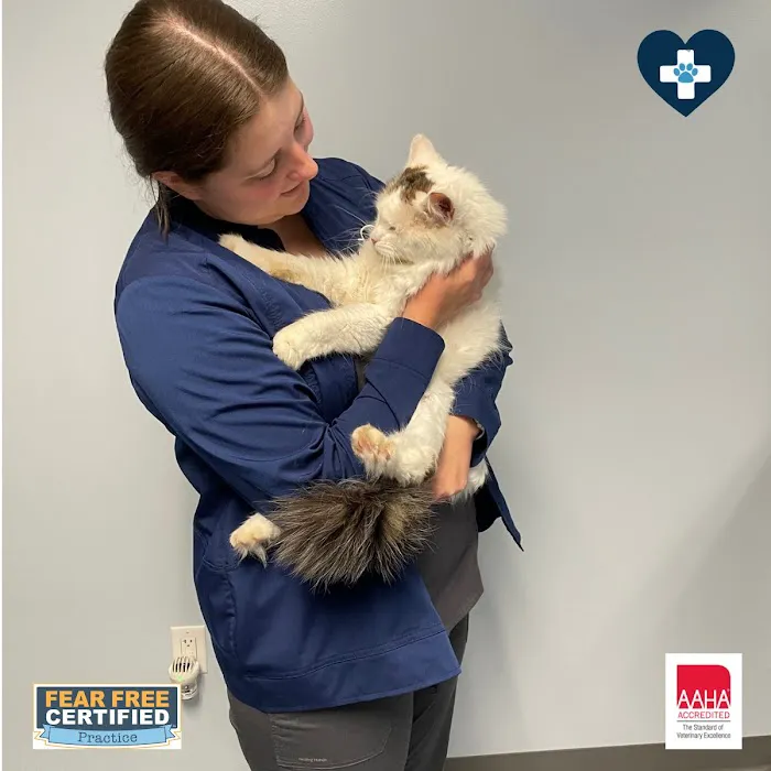 Cornerstone Veterinary Hospital of Clifton Park 3