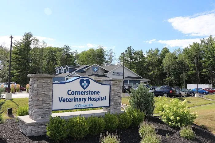 Cornerstone Veterinary Hospital of Clifton Park 1