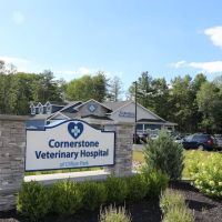 Cornerstone Veterinary Hospital of Clifton Park ico