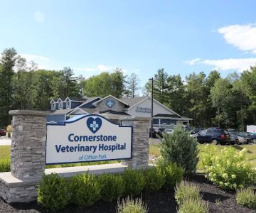 Cornerstone Veterinary Hospital of Clifton Park