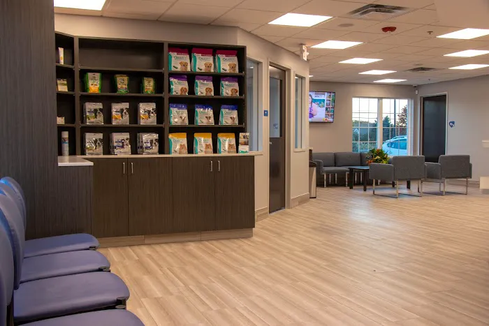 Cornerstone Veterinary Hospital of Clifton Park 5