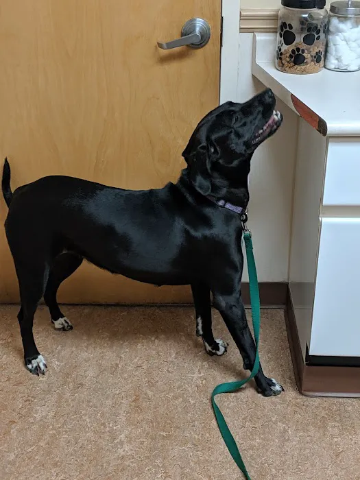 Animal Health Center 1