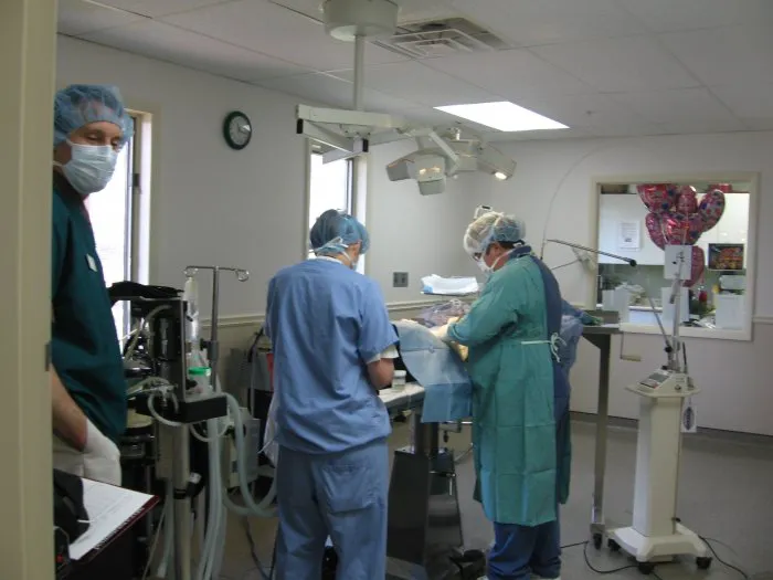 Animal Health Center 7