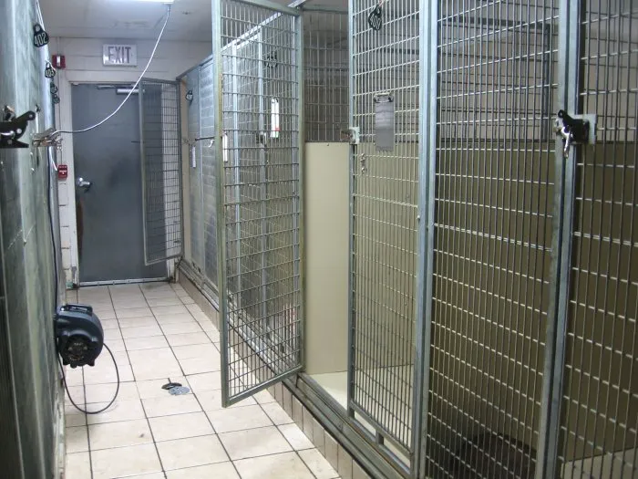 Animal Health Center 9