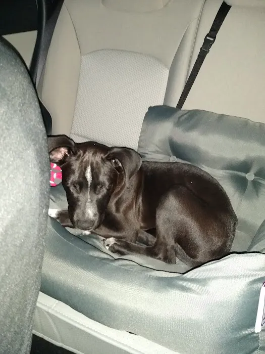 Banfield Pet Hospital 4