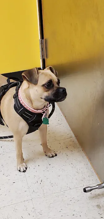Banfield Pet Hospital 1