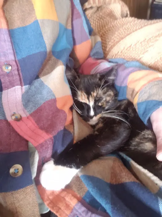 PetVet Vaccination Clinic 8