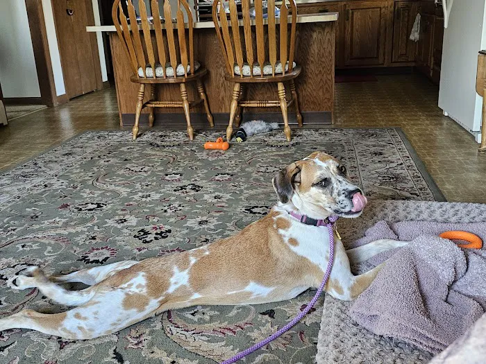 East Haddam Veterinary Clinic 1