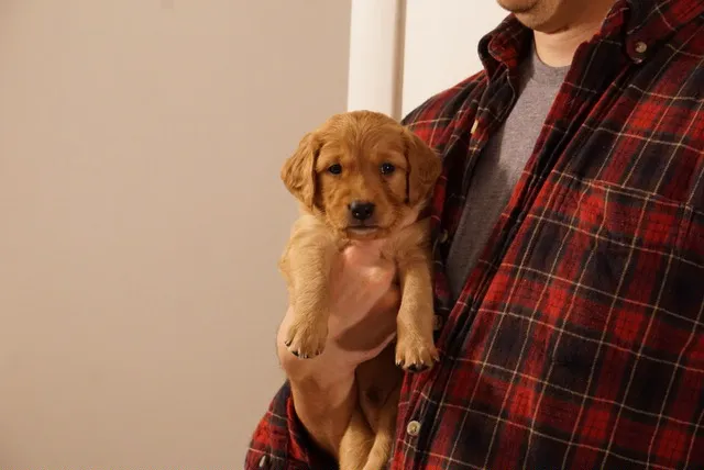 East Haddam Veterinary Clinic 7