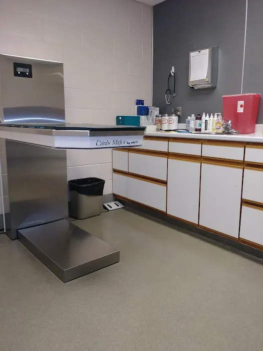 Colchester Veterinary Hospital 6