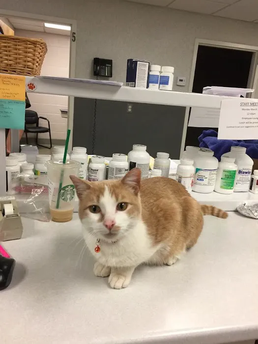 Colchester Veterinary Hospital 7