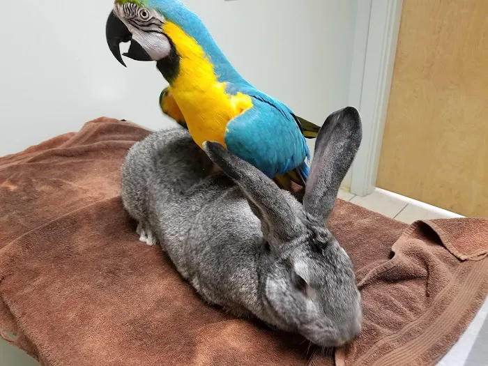 Deep River Animal Hospital 7