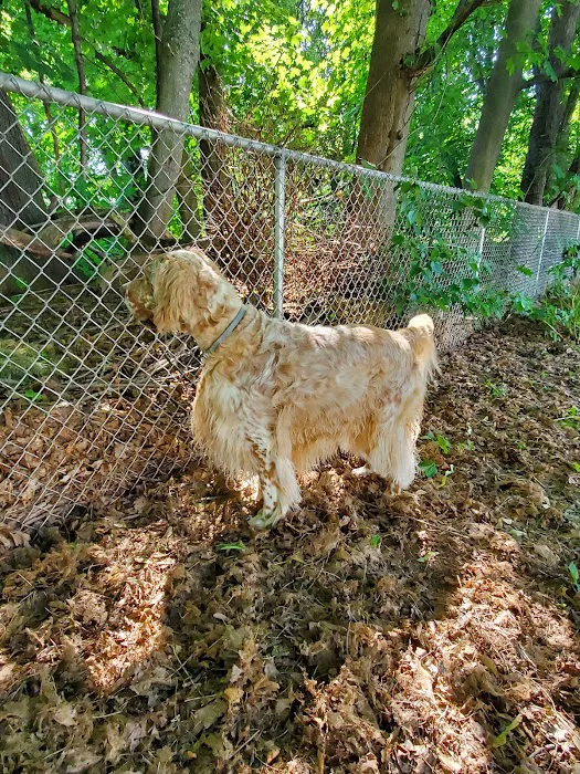 Deep River Animal Hospital 1