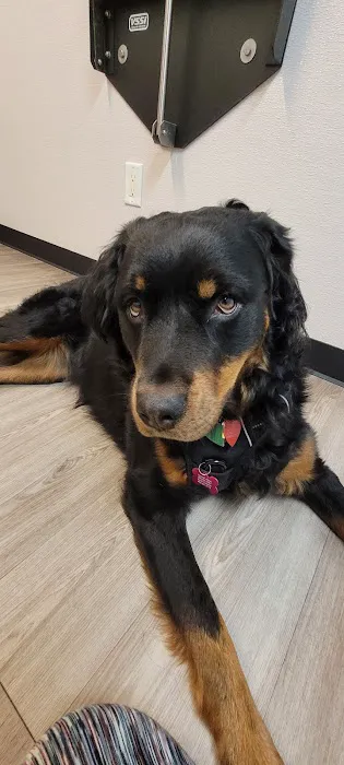 Essex Veterinary Clinic 7