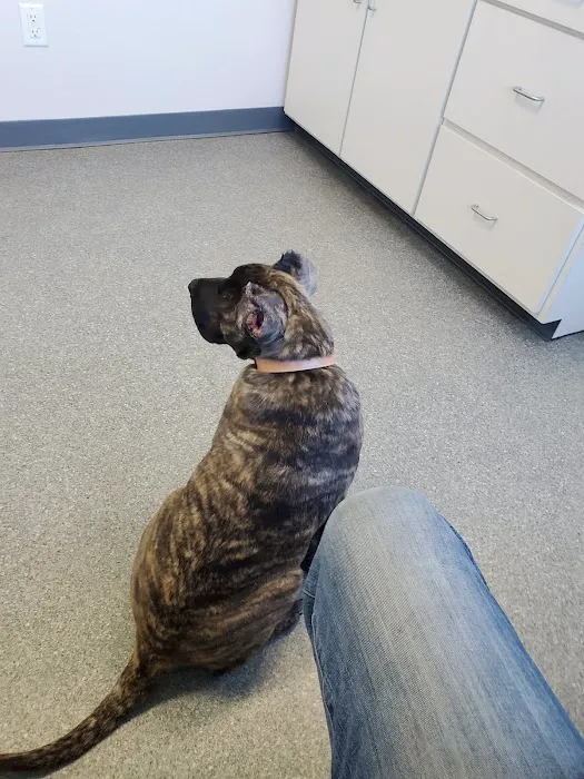 Essex Veterinary Clinic 9