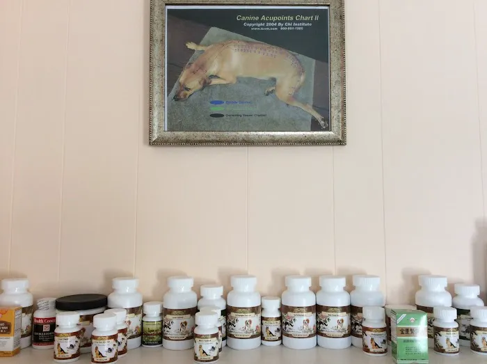 Veterinary Acupuncture and Herbal Medicine 3