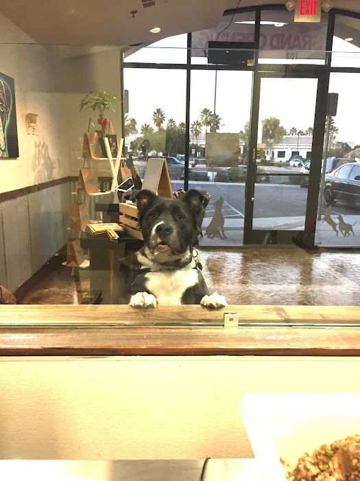 Fido's Kitchen 5