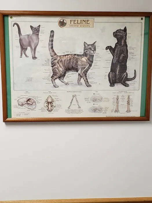 Killingworth Animal Hospital 1