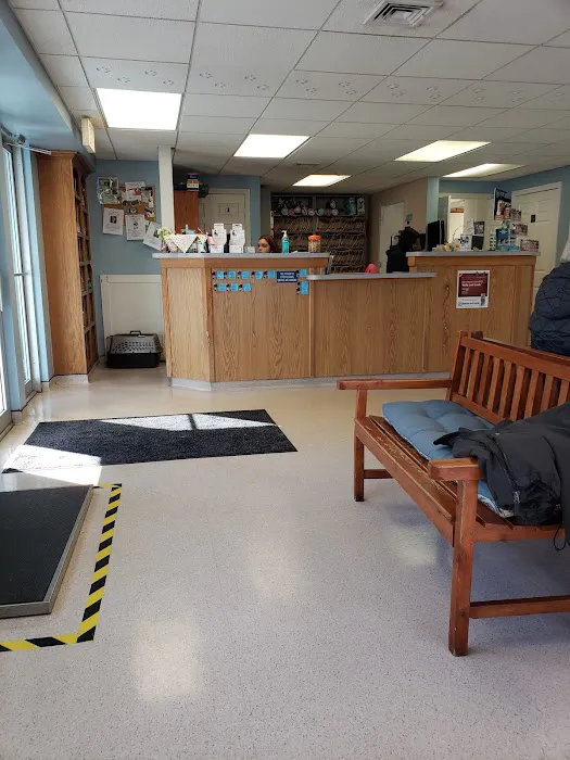 Killingworth Animal Hospital 5