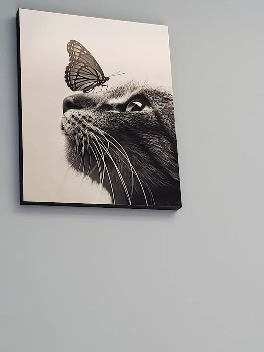 Killingworth Animal Hospital 8