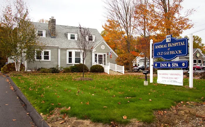 Animal Hospital of Old Saybrook 7