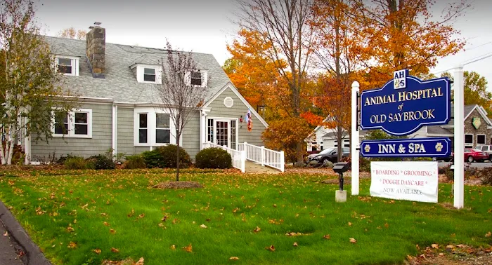 Animal Hospital of Old Saybrook 10